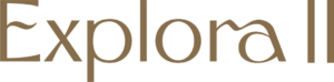 Ativo 312